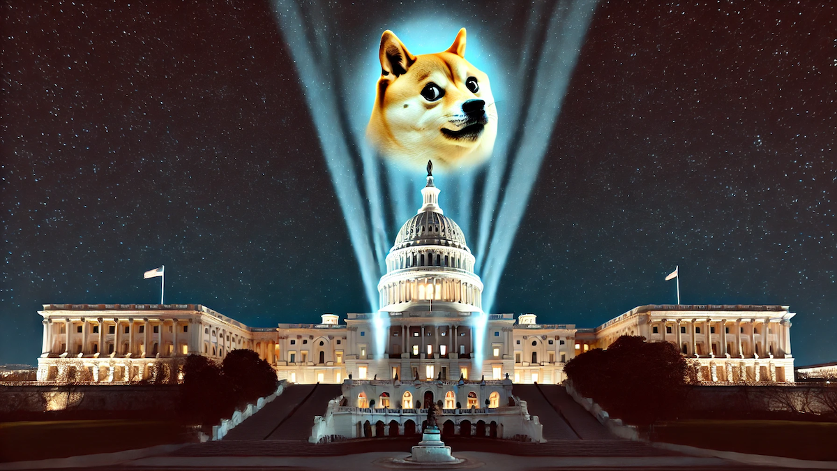 DOGE: A New Chapter in the Quest for Government Efficiency