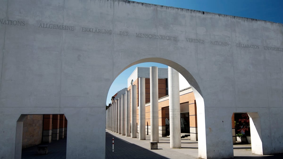 How Disinformation Corrupted Human Rights Activism