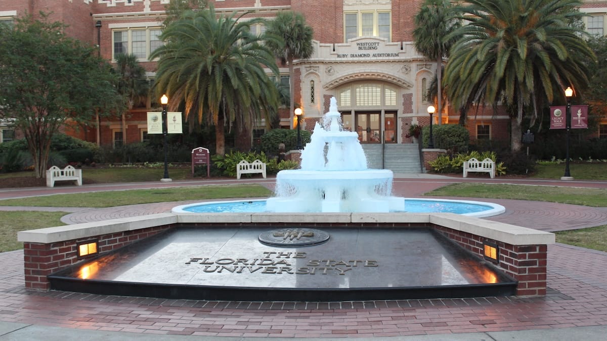 Today There Was a School Shooting at My University.