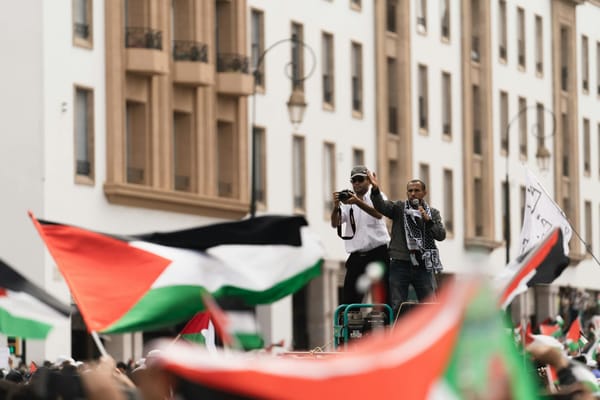 people with the flags of palestine protesting on the street